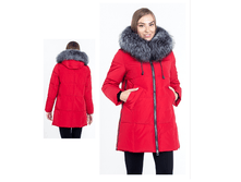 50-17. ����. 8500 ���. ����������