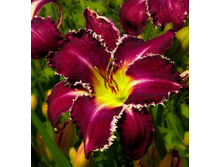 211,6���. �������� ������ ���(�������� ���� �� 1 ��., ����������� ����� 1��.)���17.jpg