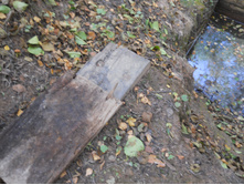 DSCN3198.JPG