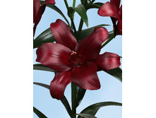 19,74���. ����� ���������(��� 7 ��. ���������� �� 2��.)���17.jpg