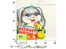 �198587 237,00.jpg