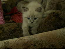 PICT2535 (������).JPG