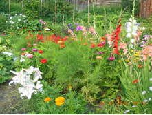 DSCN2154.JPG