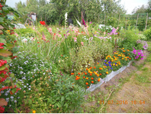 DSCN2167.JPG
