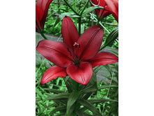 20,59���. ����� �������(��� 7 ��. ���������� �� 2��.)���16.jpg