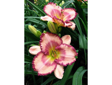 211,6���. �������� ������ �����(�������� ���� �� 1 ��., ����������� ����� 1��.)���17.jpg