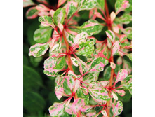 174���. �������� �������� ������.jpg