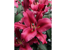 33,24���. ����� �������(��� 7 ��. ���������� �� 2��.).jpg