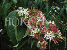 220���. ����������� ������������� �������������.jpg