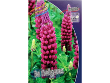 31,27���. ����� �� �������(�������� ���� �� 3 ��., ����������� ����� 1��.).jpg