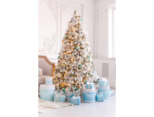 ��� ����