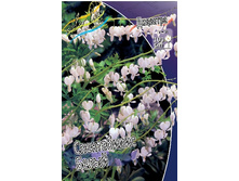 58,43���. �������� ����������� �����(�������� ���� �� 3 ��., ����������� ����� 1��.).jpg