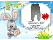 �-003 �������� � �������