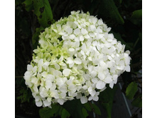 163���. ��������� ����������� �����������.jpg