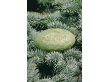 ����������� ���� ������ ������ "�������-�������", 202 ���.