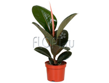 ����� ������� 12�40. 189,21 ���.jpg