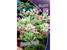 93,1���. �������� ����� ����(�������� ���� �� 1 ��., ����������� ����� 1��.).jpg