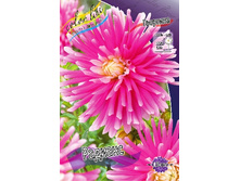 77,6���. �������� �������(�������� ���� �� 1 ��., ����������� ����� 1��.).jpg