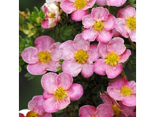 122���. �������� ������������� ��� ����.jpg