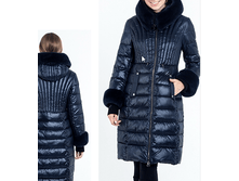 16654. ����. 8200 ���. ������.