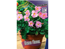 78,15���. ����������� ���� ����(�������� ���� �� 2 ��., ����������� ����� 1��.).jpg