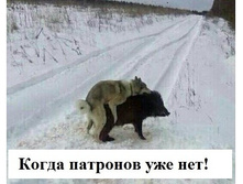 IMG 20161008 020806 49.jpg