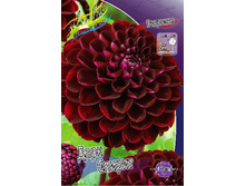 83,5���. �������� ���� ������(�������� ���� �� 1 ��., ����������� ����� 1��.).jpg