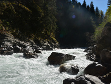 DSC 7102.JPG
