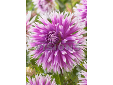 83,5���. �������� ����� ������(�������� ���� �� 1 ��., ����������� ����� 1��.)���16.jpg