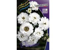 68,7���. ������������� �� ����(�������� ���� �� 2 ��., ����������� ����� 1��.).jpg