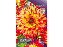 83,5���. �������� �������(�������� ���� �� 1 ��., ����������� ����� 1��.).jpg