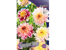 81,8���. �������� ������ ���(�������� ���� �� 1 ��., ����������� ����� 1��.).jpg