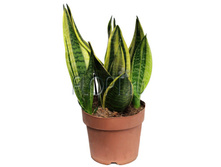 ����������� ������ ����� 17�45. 588,85 ���.jpg