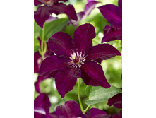 136,6���. �������� ������(�������� ���� �� 2 ��., ����������� ����� 1��.).jpg