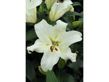 30,71���. ����� ������(��� 7 ��. ���������� �� 2��.).jpg