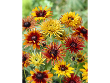 91,6���. �������� ��� ������(�������� ���� �� 1 ��., ����������� ����� 1��.).jpg