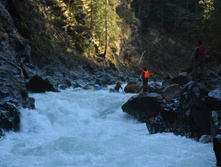 DSC 7174.JPG