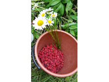 ������� ������- ��� �������, �� �� ����� �������