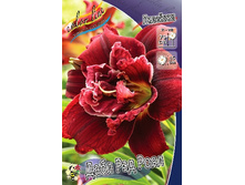 187,9���. �������� ���� ��� ����(�������� ���� �� 1 ��., ����������� ����� 1��.).jpg