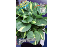 156,3���. ����� ���� ������(�������� ���� �� 1 ��., ����������� ����� 1��.).jpg