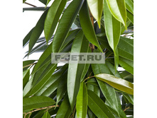 2f2f4e57b - �����.jpeg