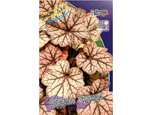 282,7���. ������� ������� ������(�������� ���� �� 1 ��., ����������� ����� 1��.).jpg