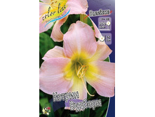 57,95���. �������� ������ �������(�������� ���� �� 2 ��., ����������� ����� 1��.).jpg