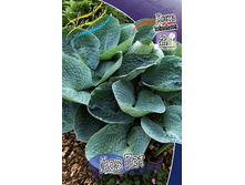 124,7���. ����� ��� ���(�������� ���� �� 1 ��., ����������� ����� 1��.).jpg