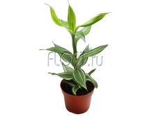 ������� ���������� ������� 12�40. 127,08 ���.jpg