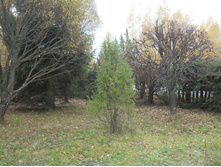 DSCN3248.JPG