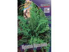 132,6���. �������� ������ ��������(�������� ���� �� 1 ��., ����������� ����� 1��.).jpg