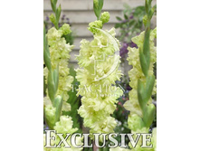 9,11���. ��������� ����(���������� ������ ������ ���������� �� 8 ��.).jpg