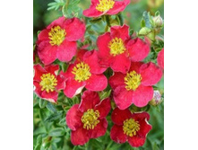 �������� ����� ���-170.jpg