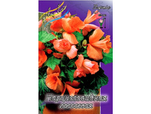 96,35���. ������� ������� (���������)(�������� ���� �� 2 ��., ����������� ����� 1��.).jpg